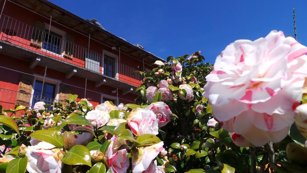 卡瑟迪索托住宿加早餐酒店 Muralto 外观 照片